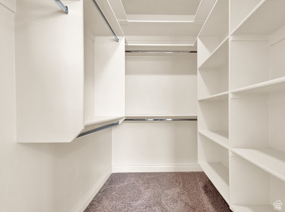 Spacious closet with dark carpet