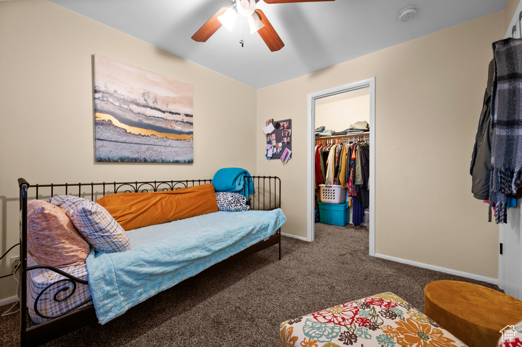 Bedroom featuring a spacious closet, dark colored carpet, ceiling fan, and a closet