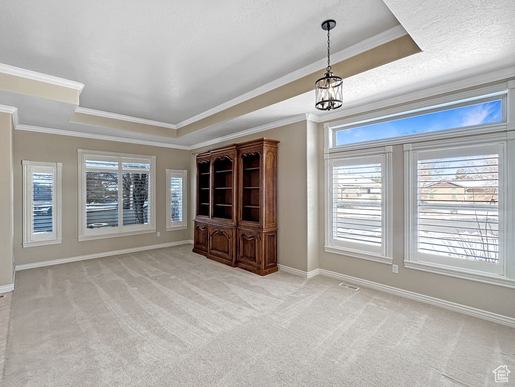 Empty room featuring a wealth of natural light, a tray ceiling, and light carpet