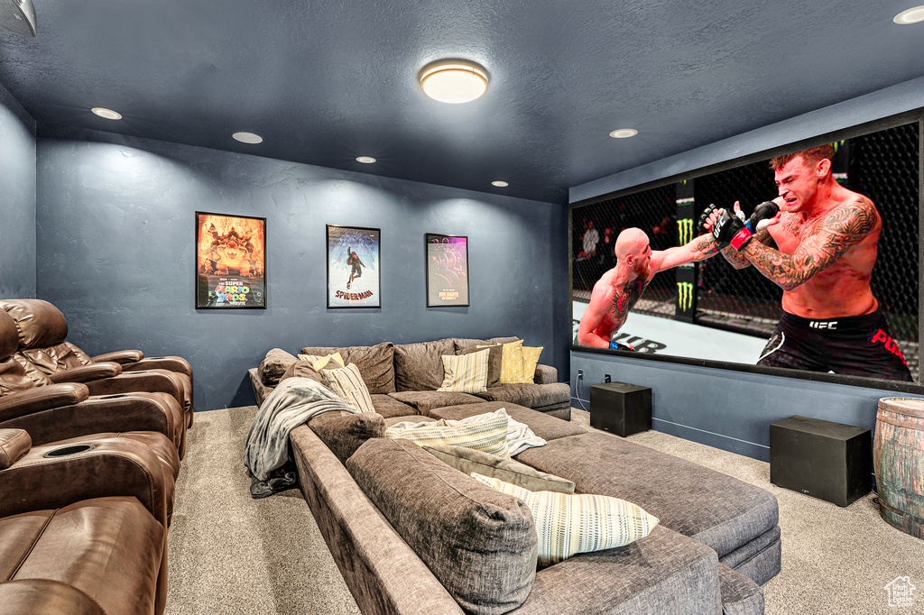 Home theater room featuring light carpet and a textured ceiling