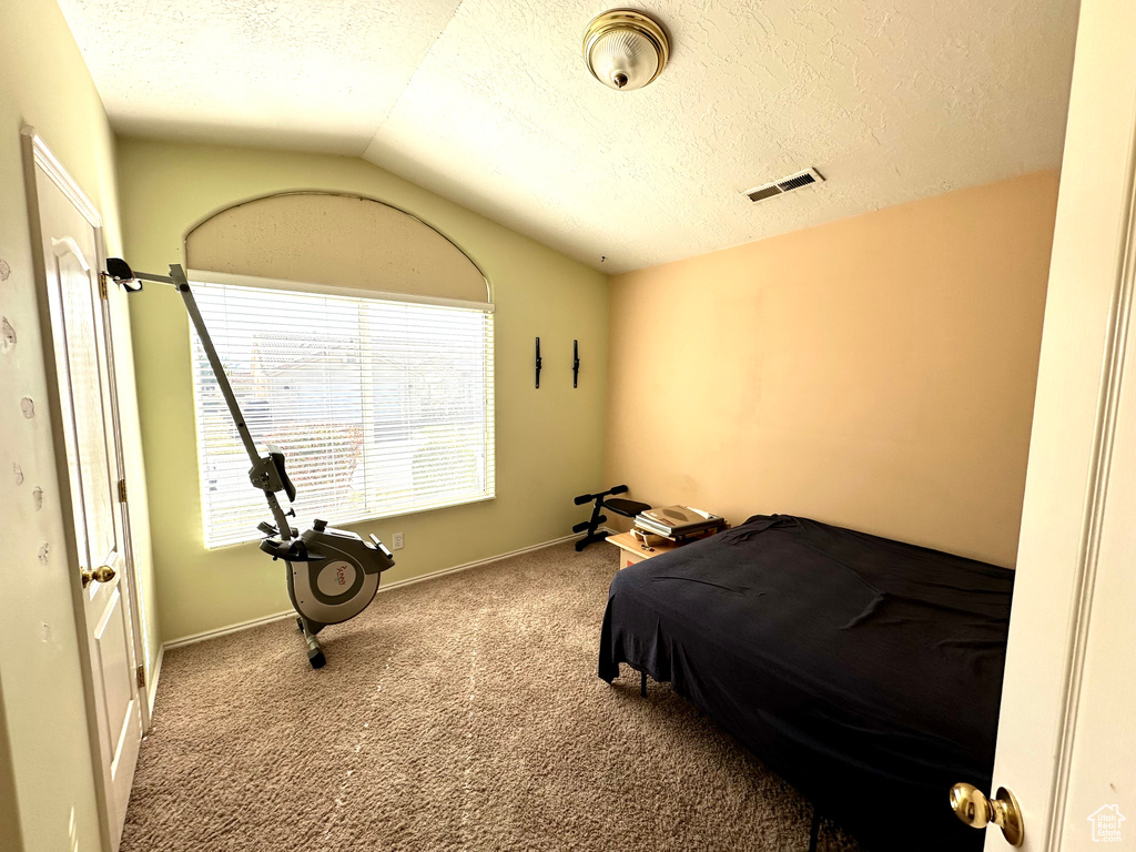 Bedroom with lofted ceiling, carpet flooring, and a textured ceiling