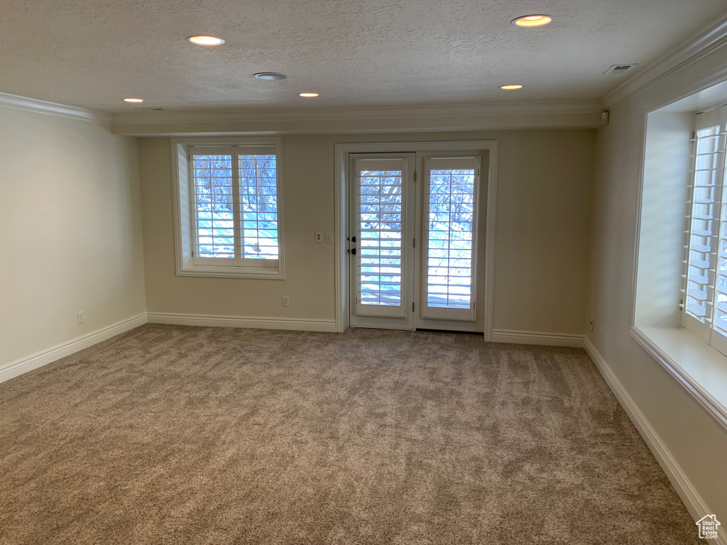 Carpeted spare room featuring a healthy amount of sunlight, crown molding, and a textured ceiling