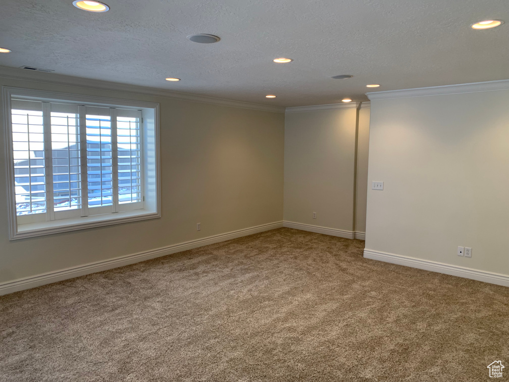 Spare room with light carpet, ornamental molding, and a textured ceiling