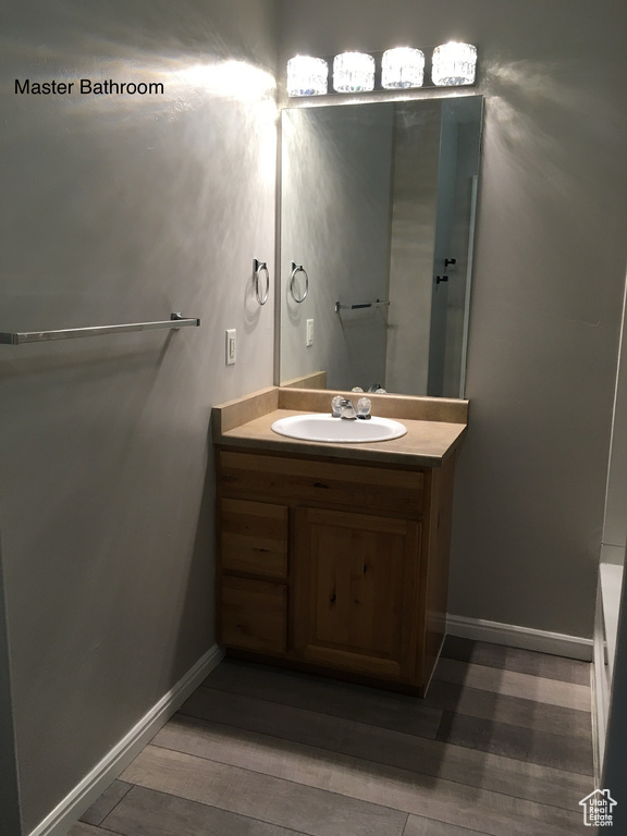 Bathroom featuring vanity with extensive cabinet space and wood-type flooring