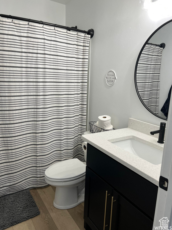 Bathroom with toilet, hardwood / wood-style flooring, and oversized vanity