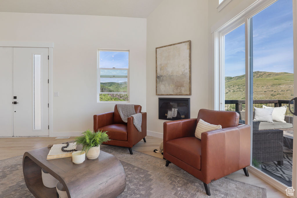 Living room with light hardwood / wood-style flooring and a wealth of natural light