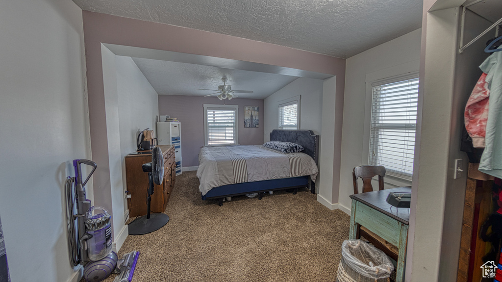 Carpeted bedroom with multiple windows, ceiling fan, and a textured ceiling