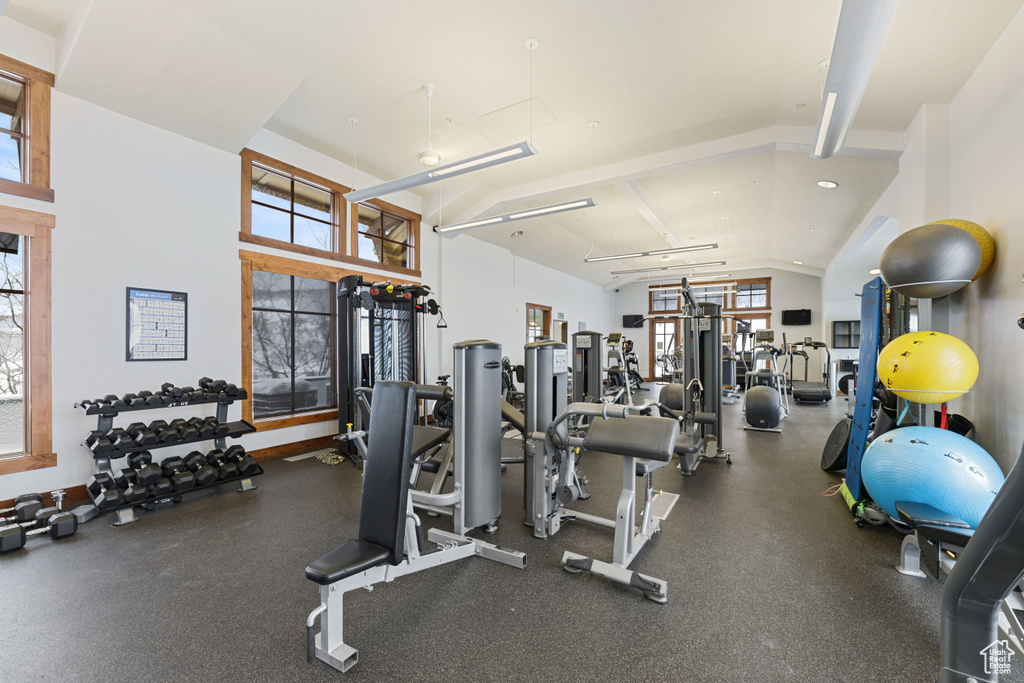 Workout area with a wealth of natural light