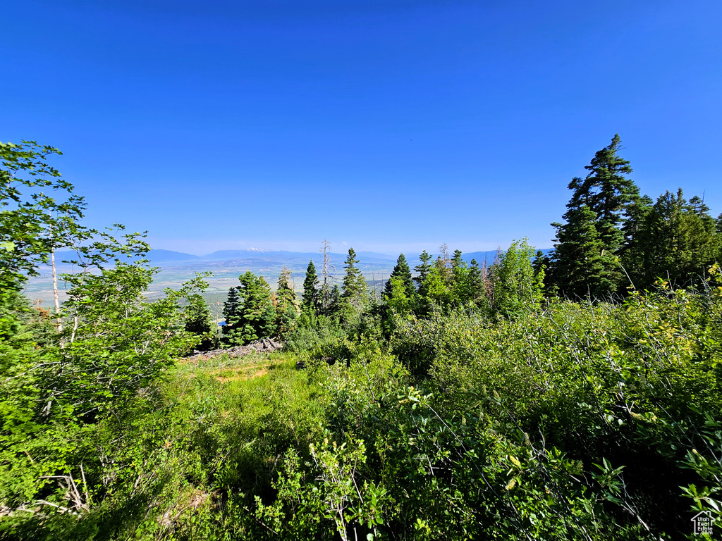 View of local wilderness with a mountain view