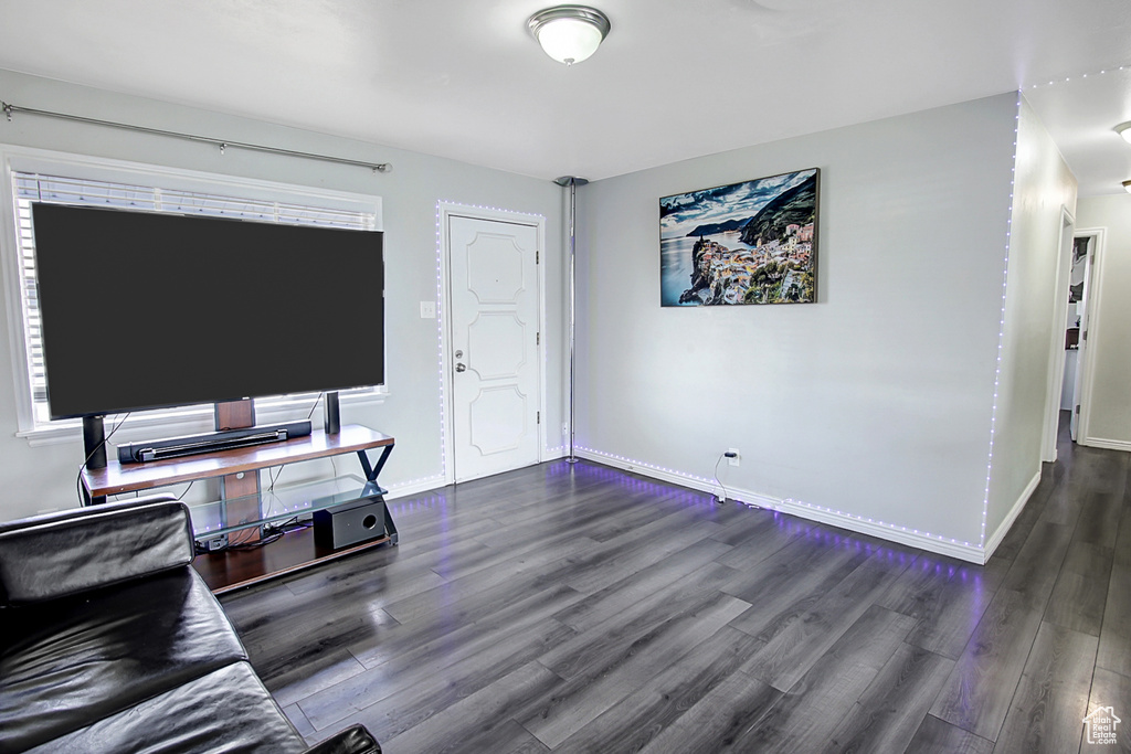 Living room featuring dark wood-type flooring