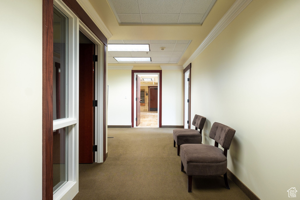 Hallway featuring crown molding and carpet flooring