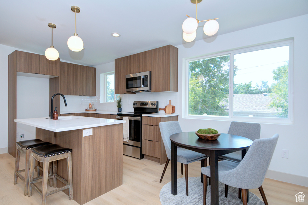 Kitchen featuring pendant lighting, light hardwood / wood-style flooring, a wealth of natural light, and stainless steel appliances