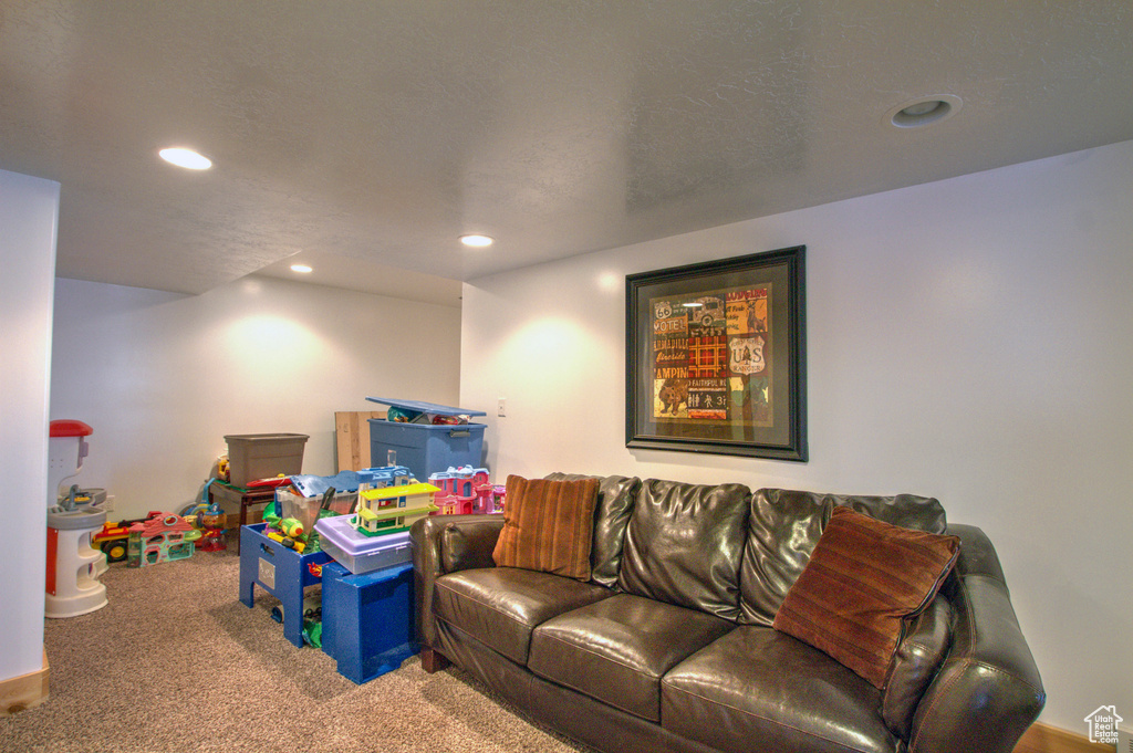 Recreation room with carpet flooring and a textured ceiling