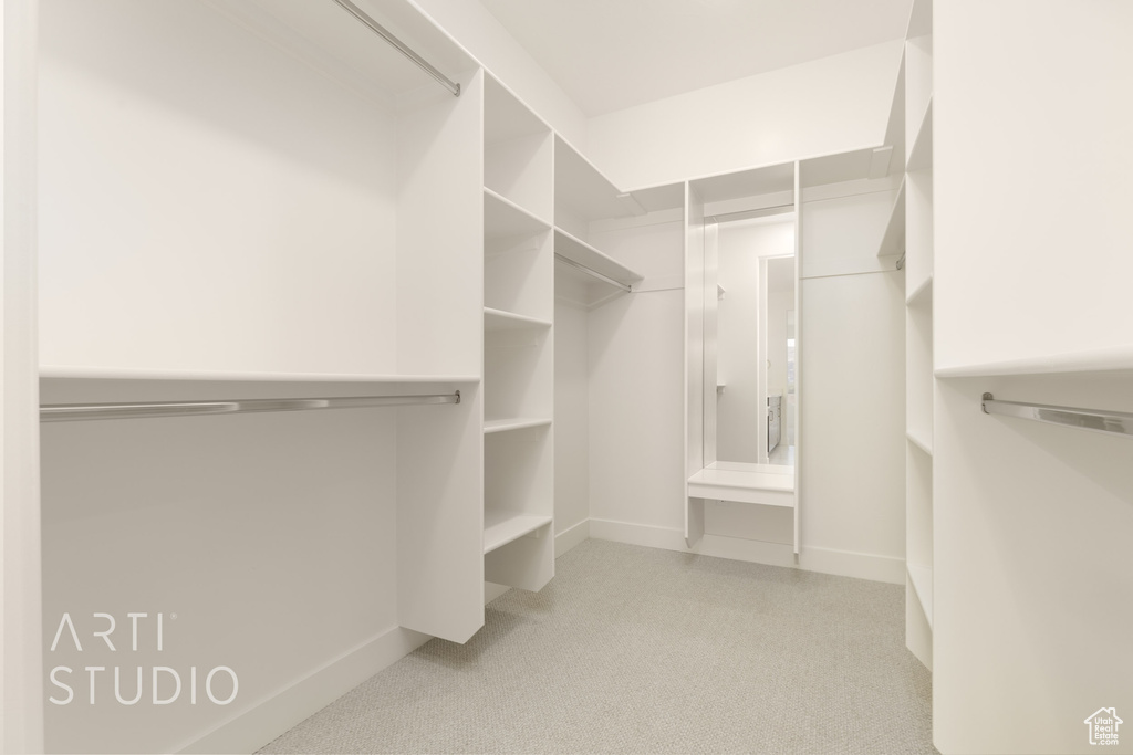 Spacious closet featuring light carpet