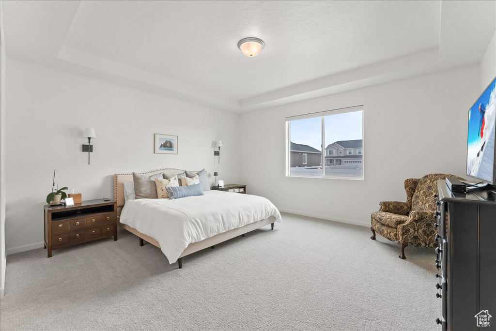 Bedroom with light carpet and a tray ceiling