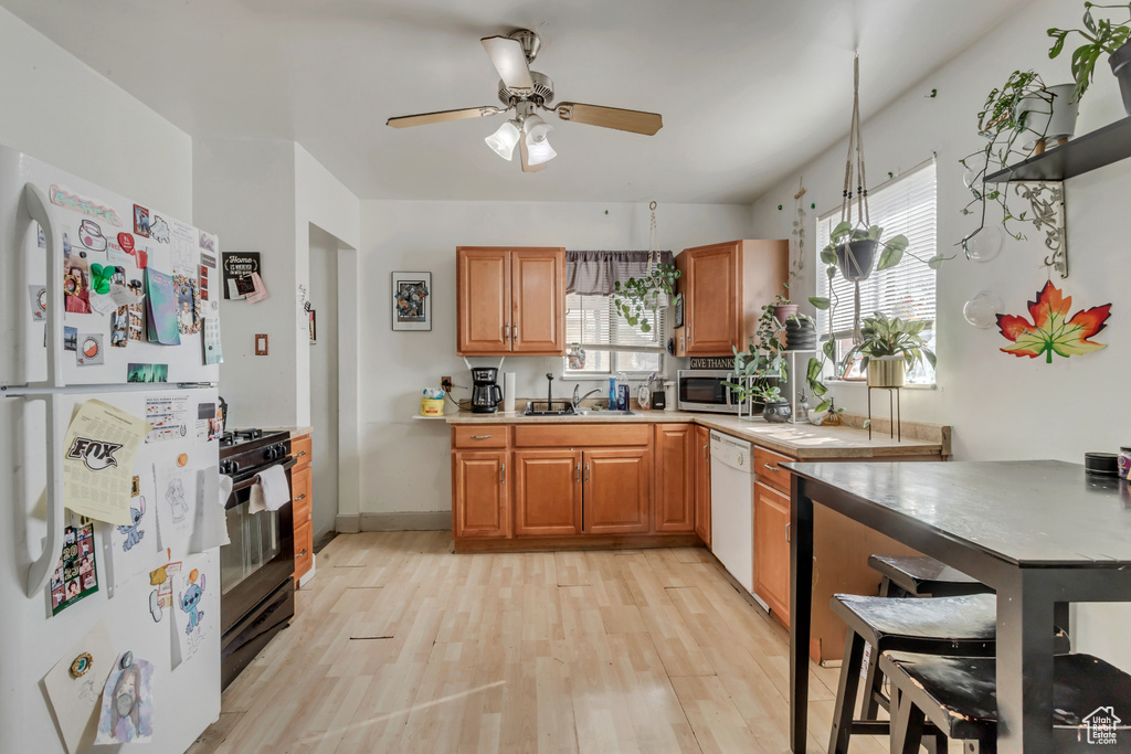 Kitchen with plenty of natural light, white appliances, ceiling fan, and light hardwood / wood-style flooring