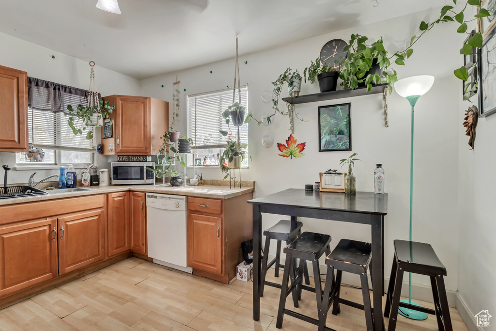 Kitchen featuring a wealth of natural light, light hardwood / wood-style floors, dishwasher, and sink