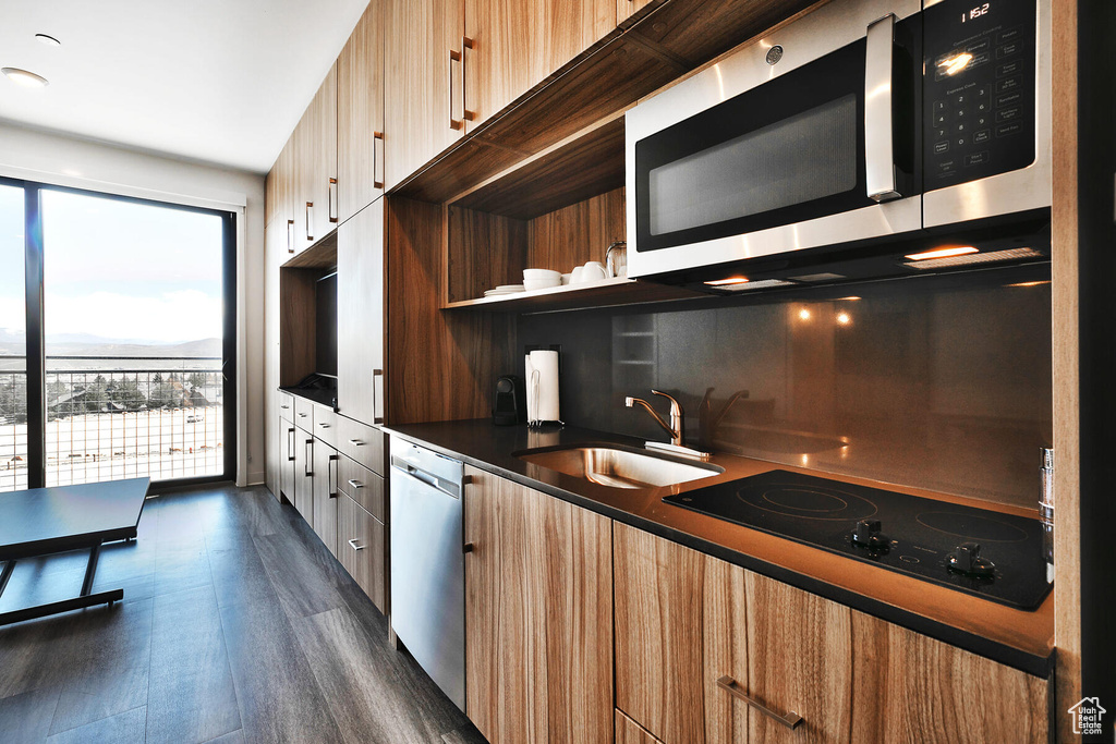 Kitchen featuring sink, dark wood-type flooring, and stainless steel appliances