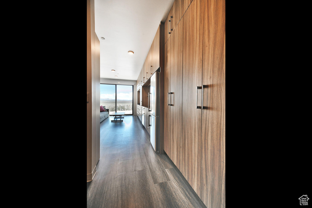 Hallway with dark hardwood / wood-style flooring and a barn door