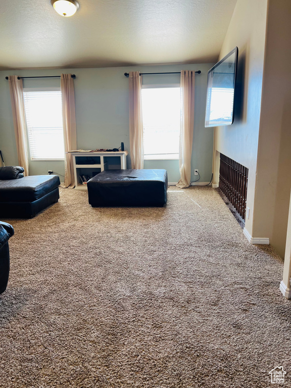 Carpeted living room with radiator and a healthy amount of sunlight