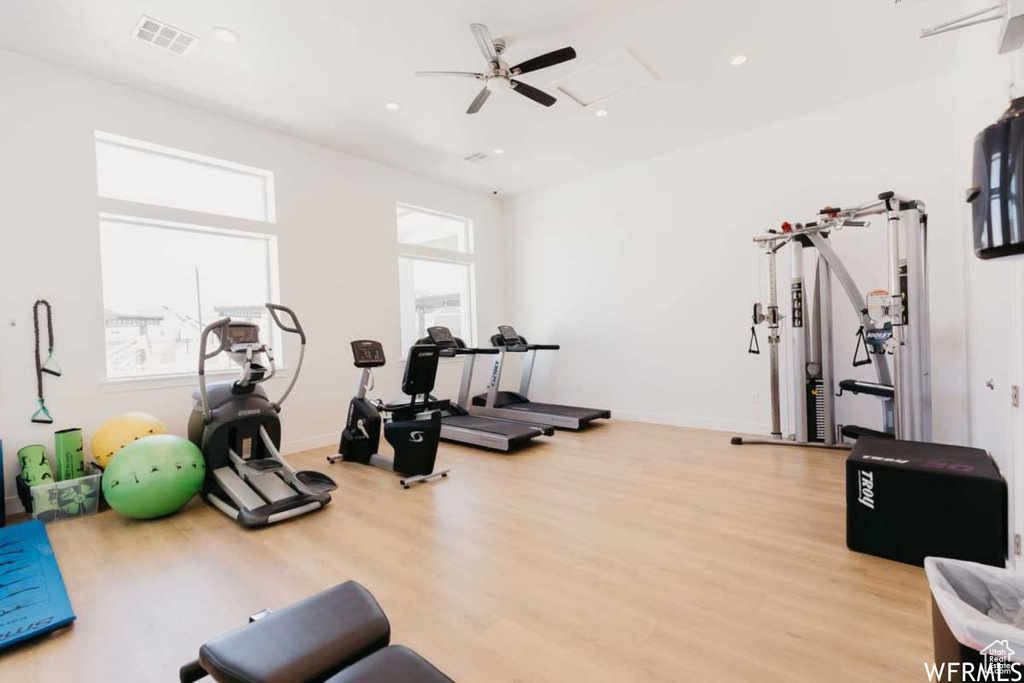 Exercise room featuring plenty of natural light, light hardwood / wood-style flooring, and ceiling fan