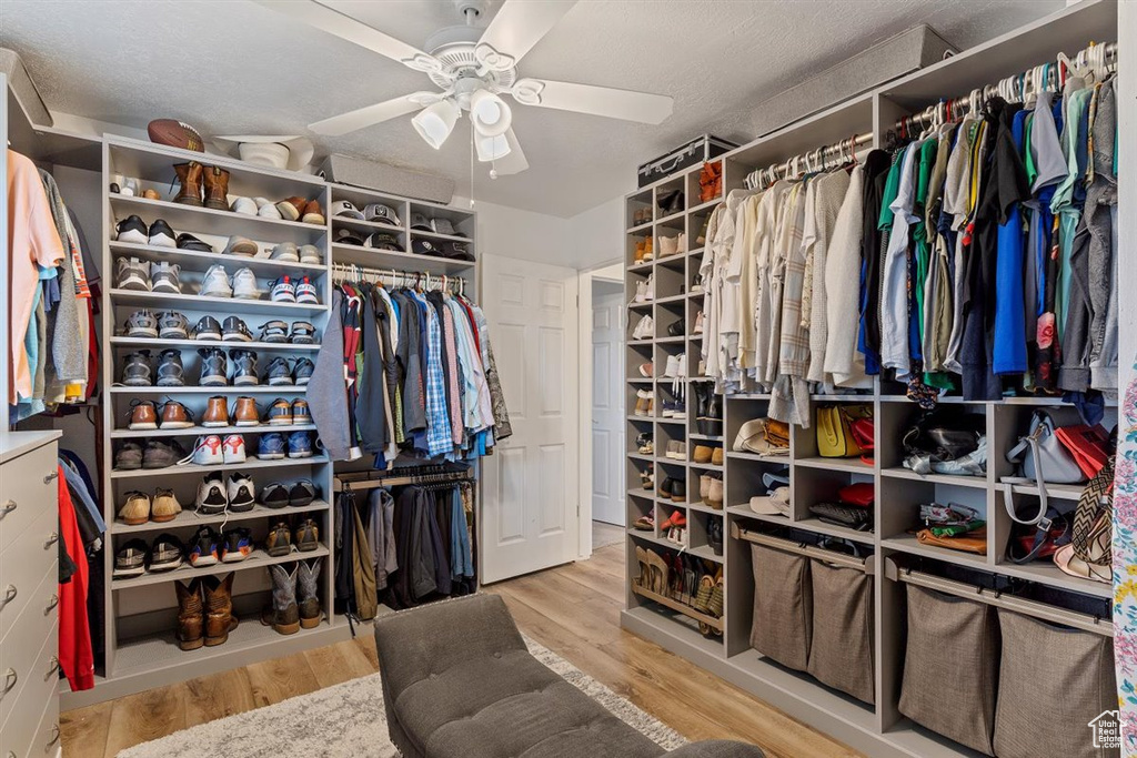Walk in closet featuring light wood-type flooring and ceiling fan