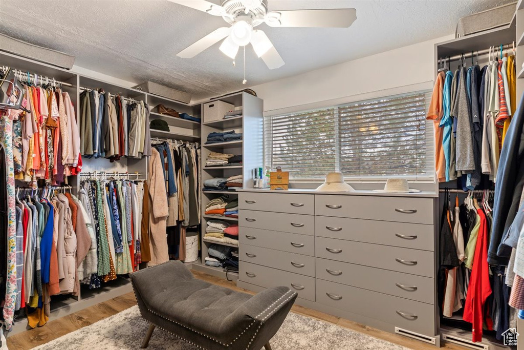 Walk in closet featuring light hardwood / wood-style floors and ceiling fan