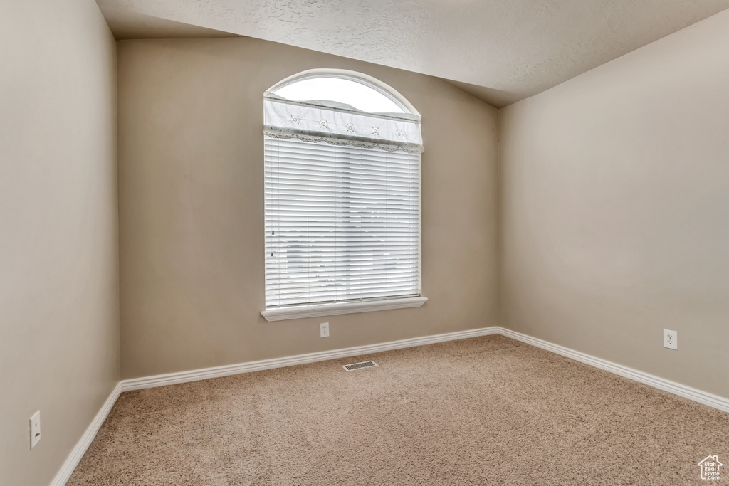 Unfurnished room featuring a wealth of natural light, light carpet, and a textured ceiling