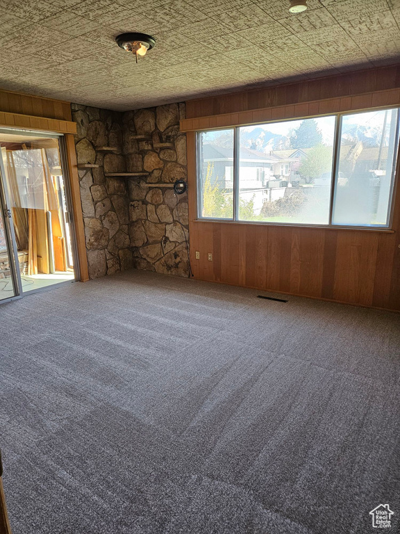 Unfurnished room with carpet and wood walls