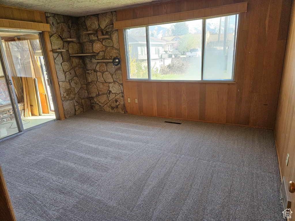 Unfurnished room featuring carpet flooring and wood walls