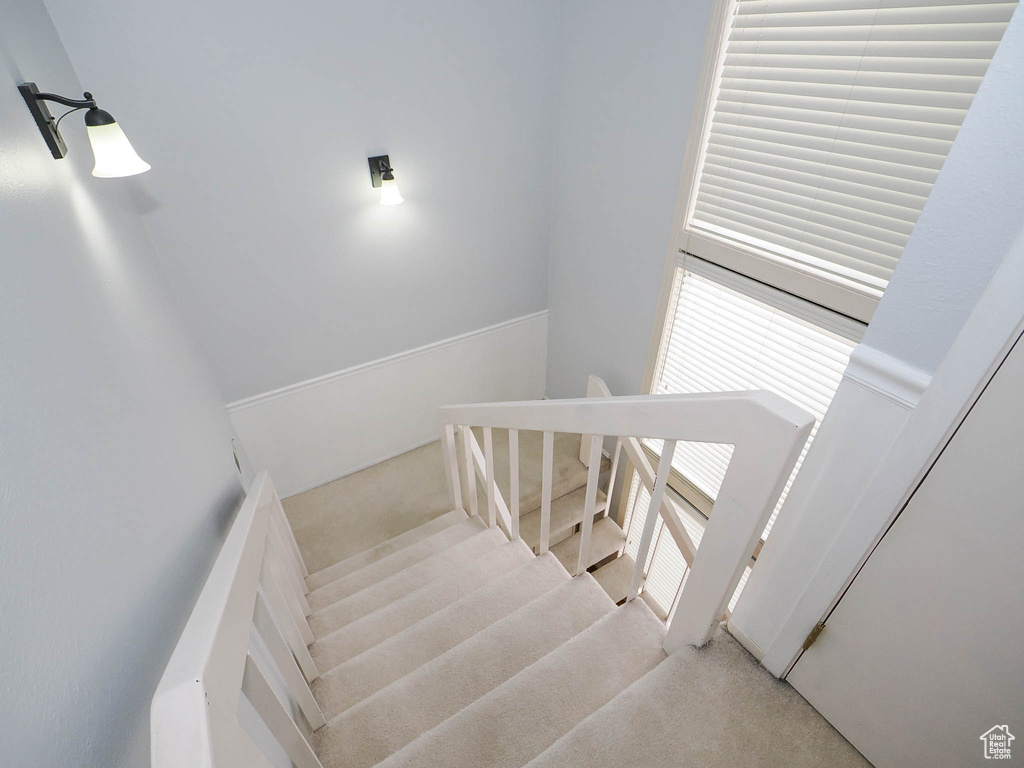 Stairs featuring plenty of natural light and light carpet