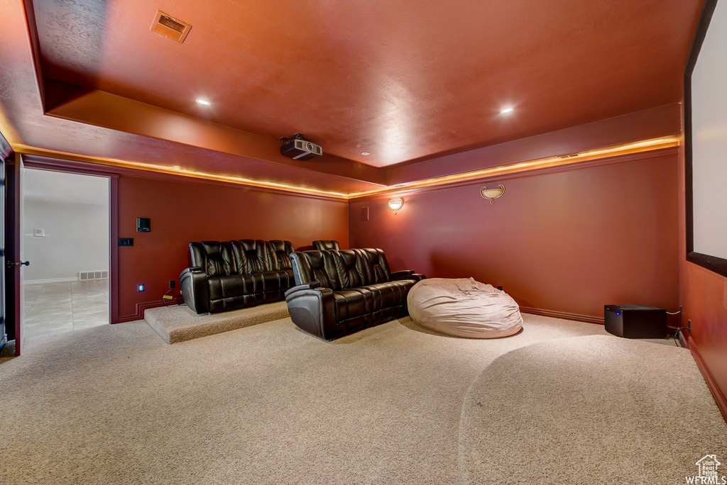 Carpeted cinema featuring a raised ceiling