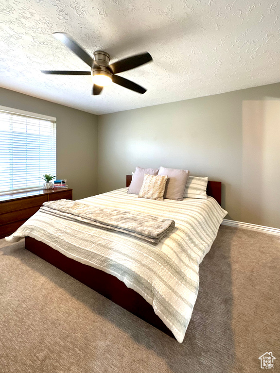 4552 S 1675 W Roy, UT 84067