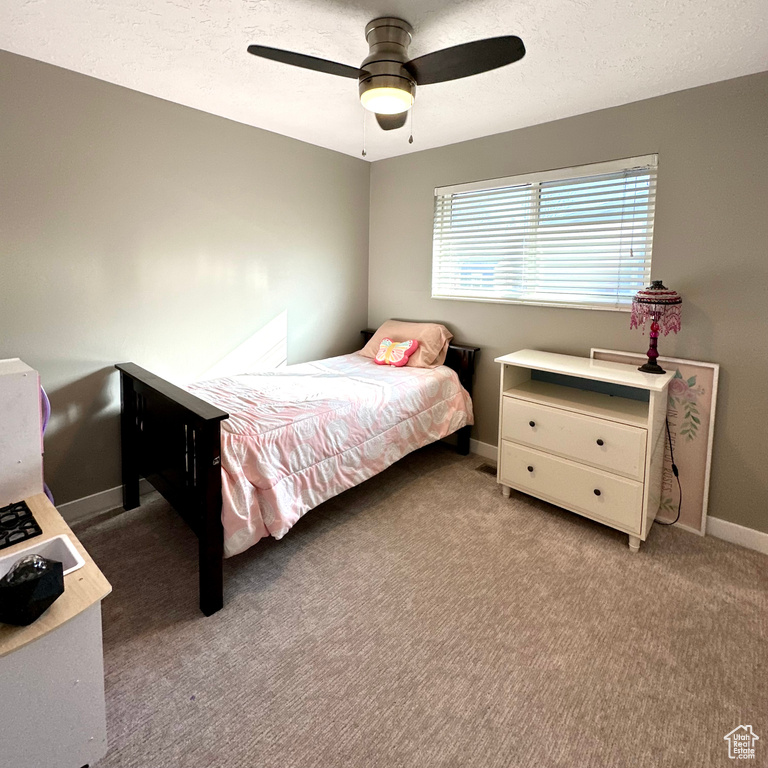 4552 S 1675 W Roy, UT 84067