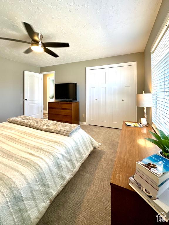 4552 S 1675 W Roy, UT 84067