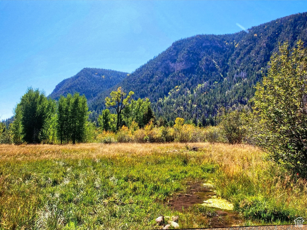 View of mountain view