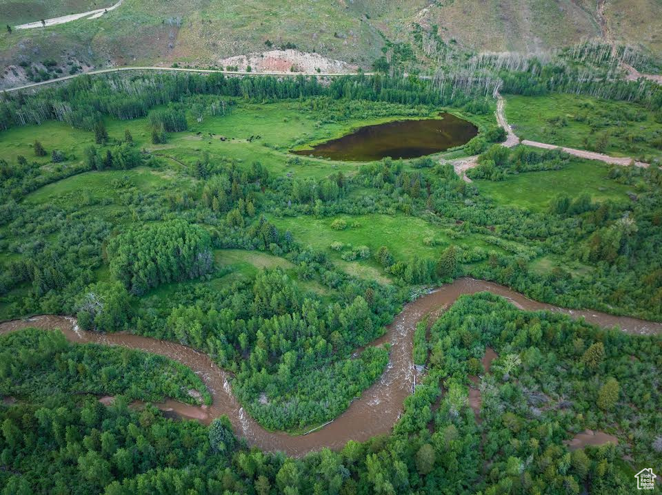 View of bird's eye view