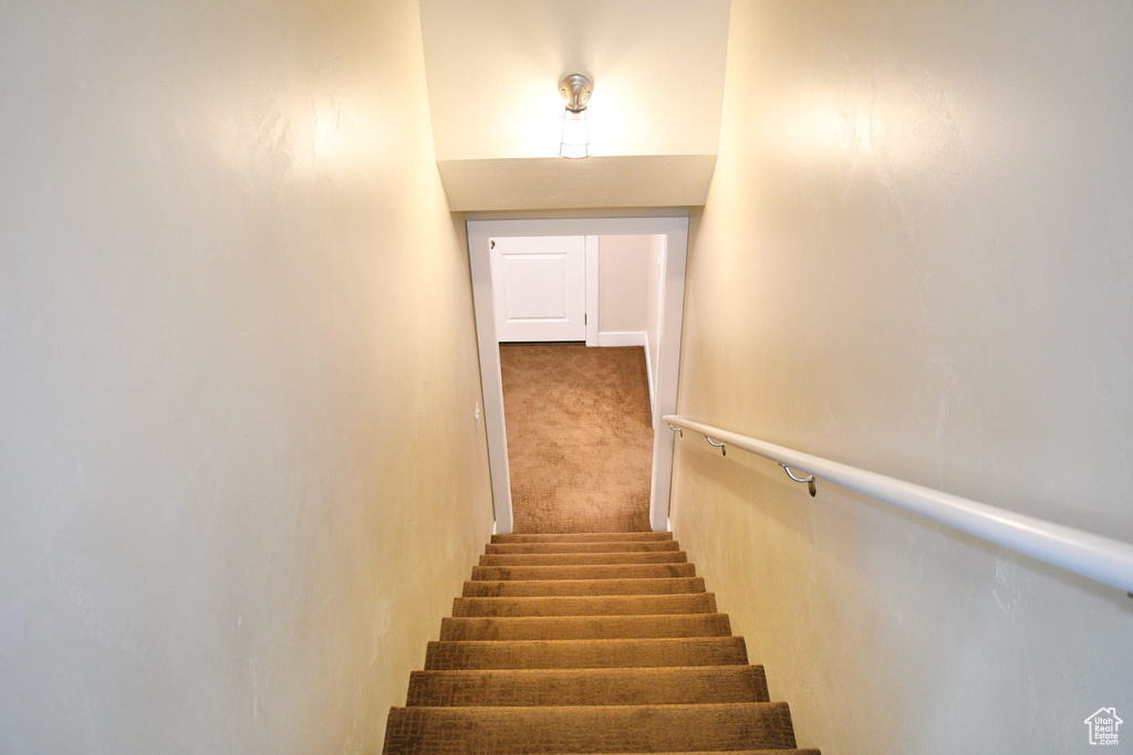 Stairway with dark colored carpet