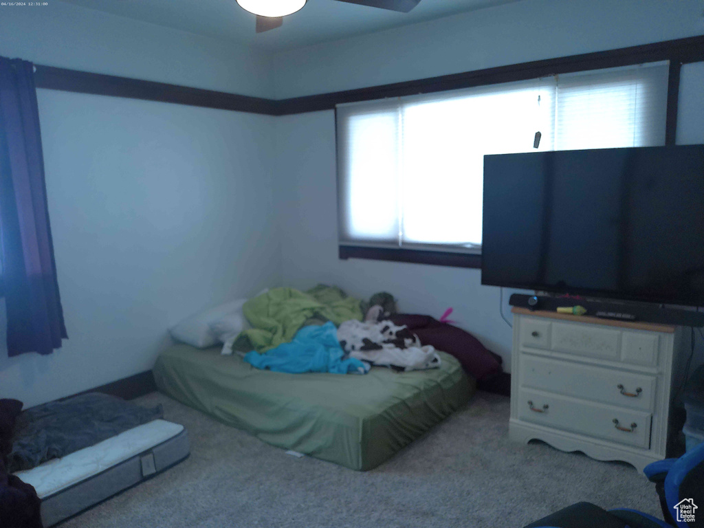 Bedroom with ceiling fan, light carpet, and multiple windows