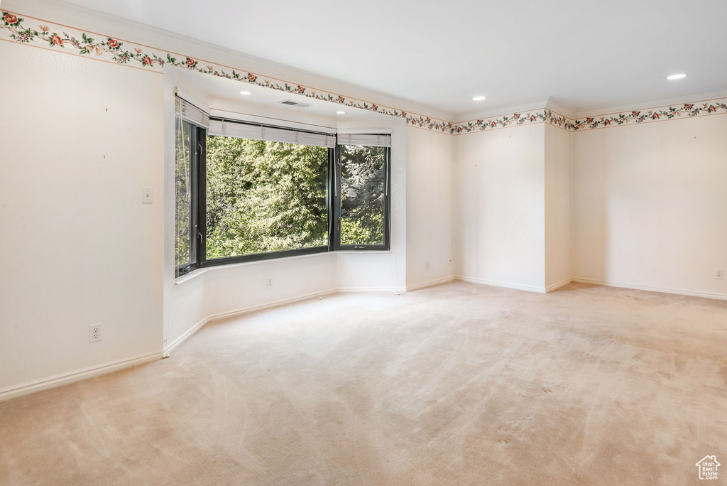 Unfurnished room with crown molding and light colored carpet