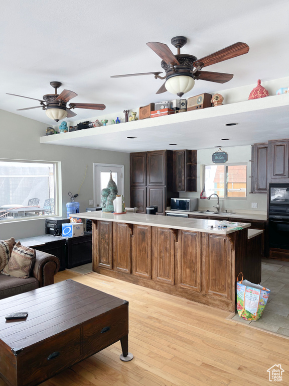 Kitchen featuring sink, light hardwood / wood-style floors, ceiling fan, and dark brown cabinetry