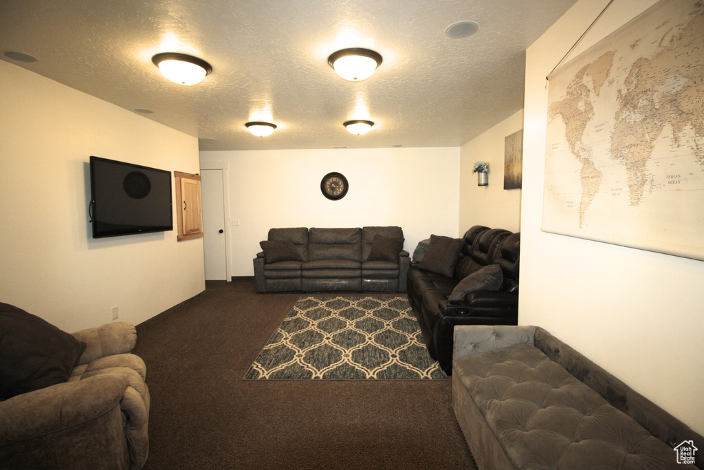 Living room featuring dark colored carpet and a textured ceiling