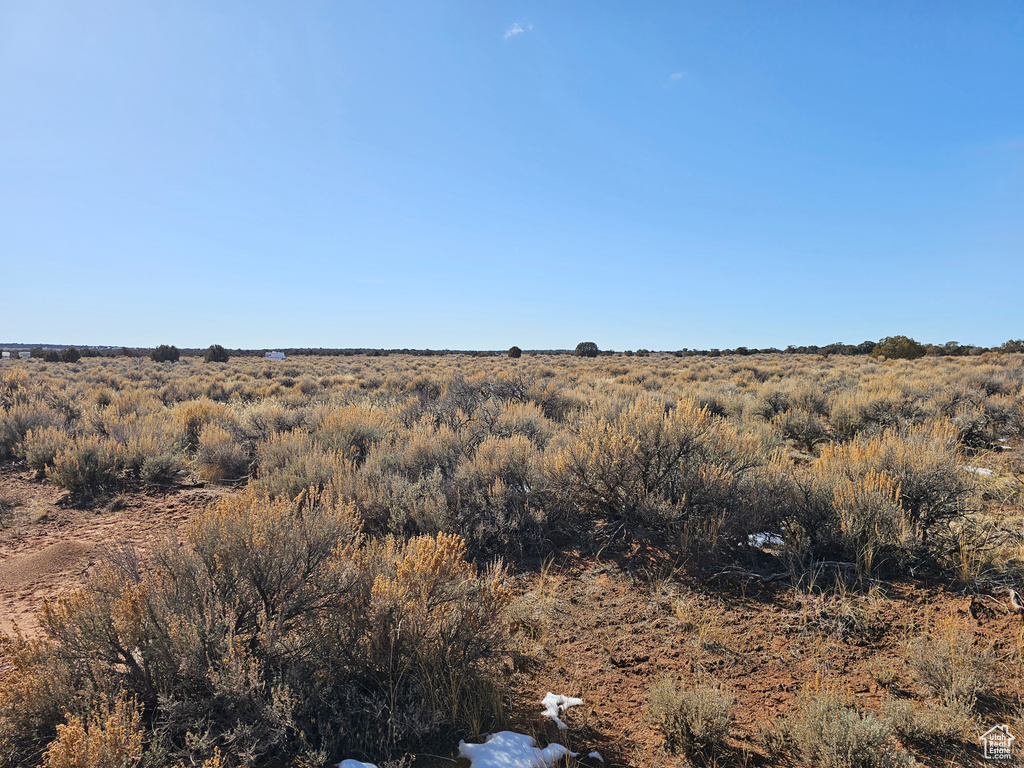 View of local wilderness