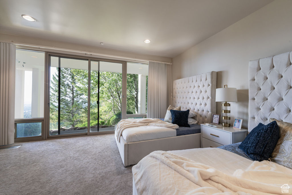 Carpeted bedroom featuring multiple windows