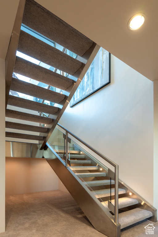 Stairway featuring carpet floors