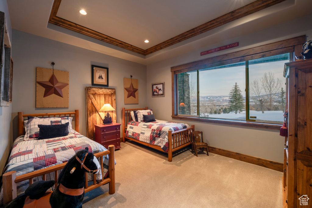 Bedroom with a tray ceiling and light colored carpet