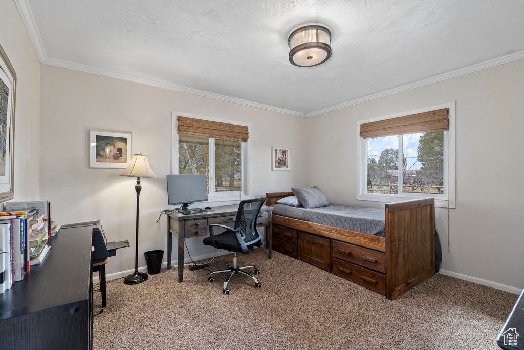 Bedroom featuring light carpet and ornamental molding