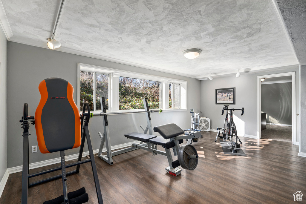Exercise room with dark hardwood / wood-style floors, rail lighting, crown molding, and a textured ceiling