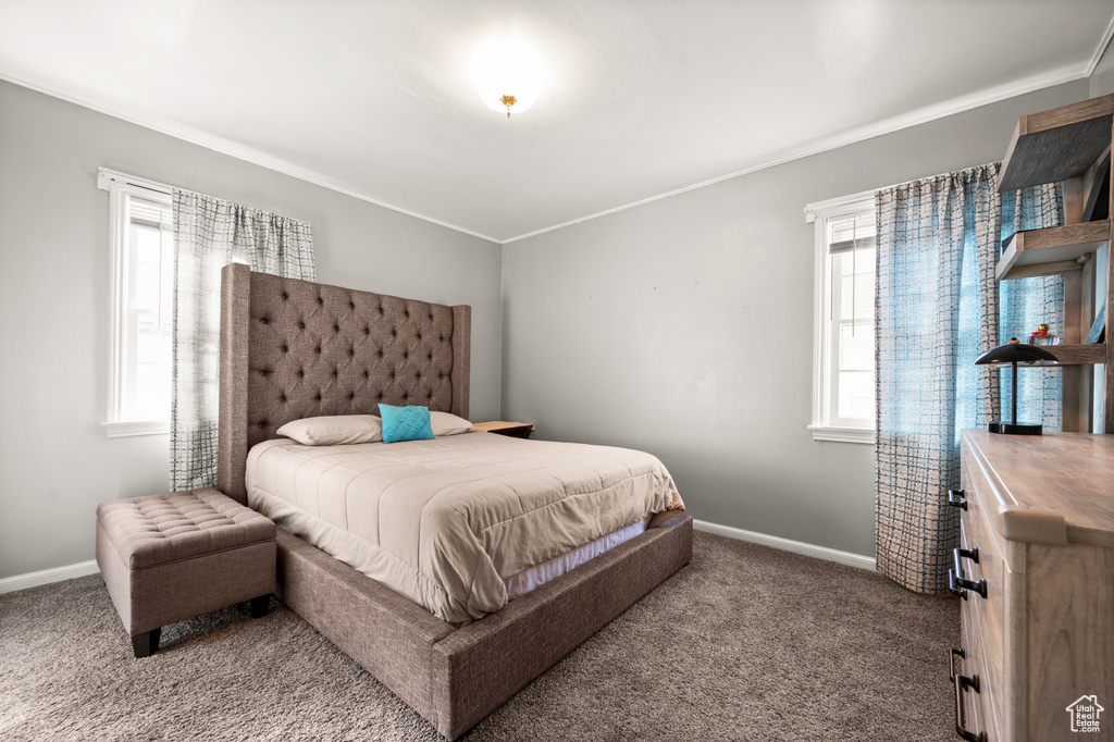 Carpeted bedroom with crown molding