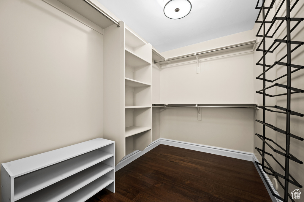 Walk in closet with dark hardwood / wood-style floors